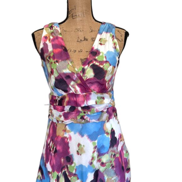 Pepperberry Floral Fit and Flare Dress Spring Feminine Cotton Silk Size 10 Curvy - Picture 2 of 6